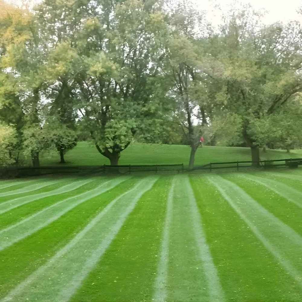 Affordable lawn mowing services for residential yards