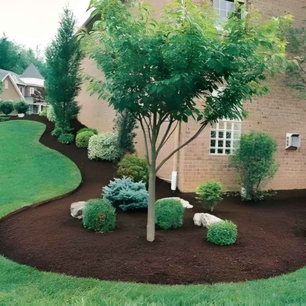 Professional mulch installation in residential garden bed