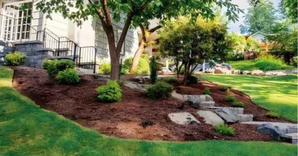 Regular lawn mowing service maintaining healthy green grass