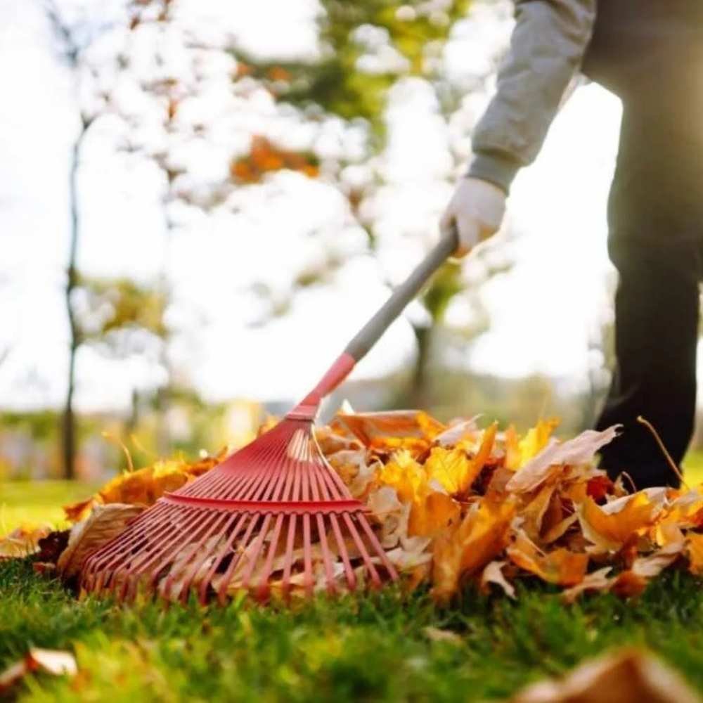 Spring fall cleanup service removing leaves and yard debris