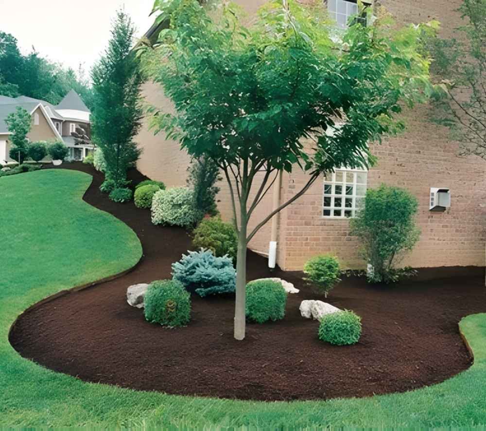 Professional Lawn Care blog for expert lawn mowing service tips