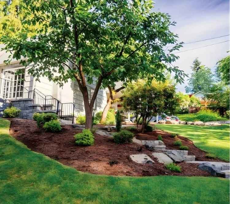 Regular lawn mowing service maintaining healthy green grass