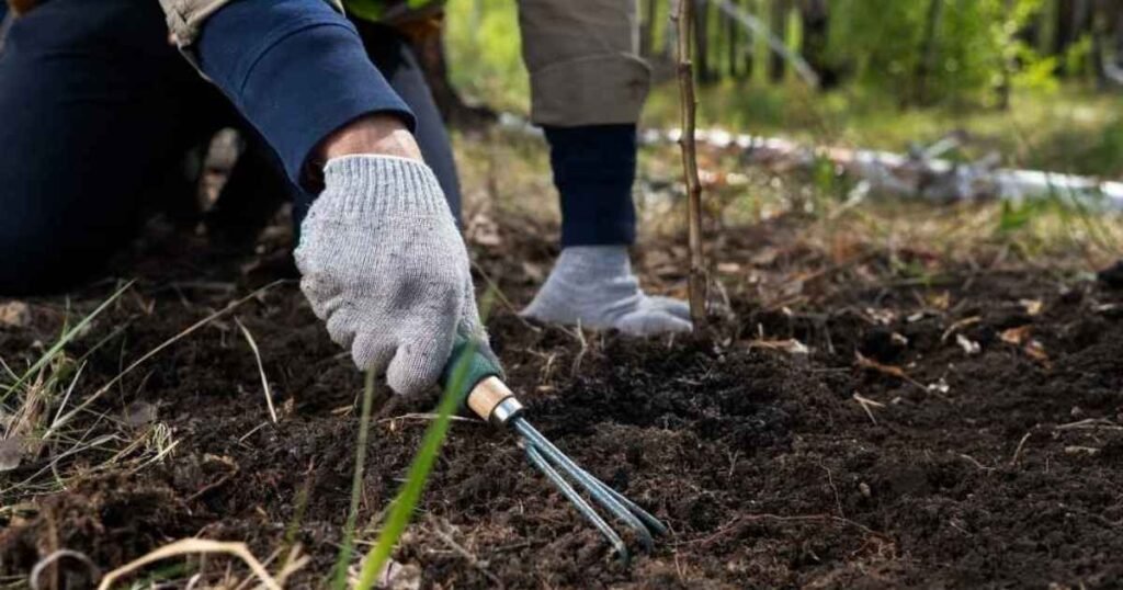 mulch installation services in West Michigan