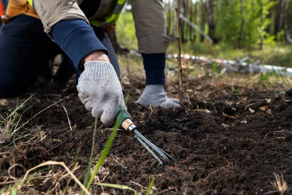 mulch installation services in West Michigan